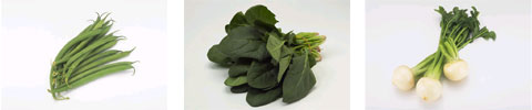 野菜