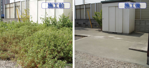 駐車場の雑草