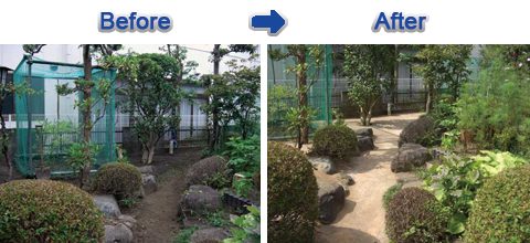 庭の雑草