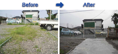 駐車場の雑草