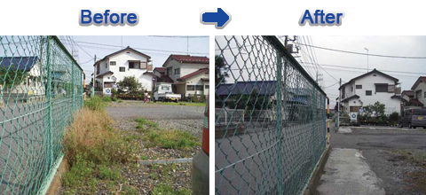 駐車場の雑草